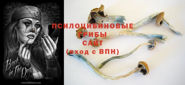 дмт Балахна