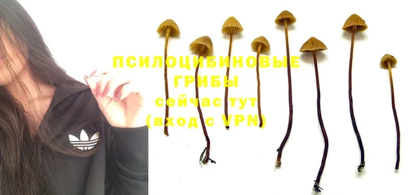 дмт Балахна